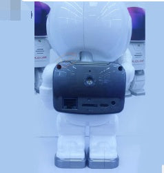 Astronaut WiFi Security Camera with Night Vision & Audio