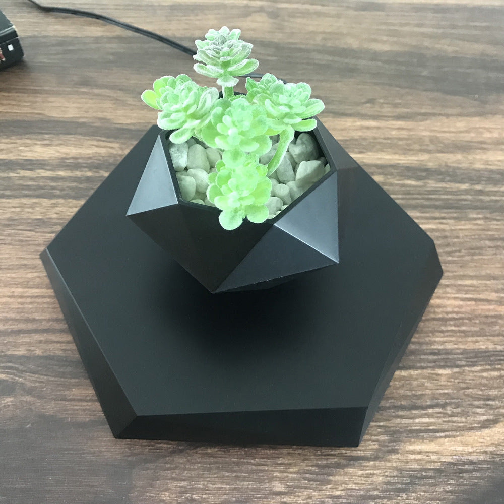 Leviora Floating Bloom Display Pod