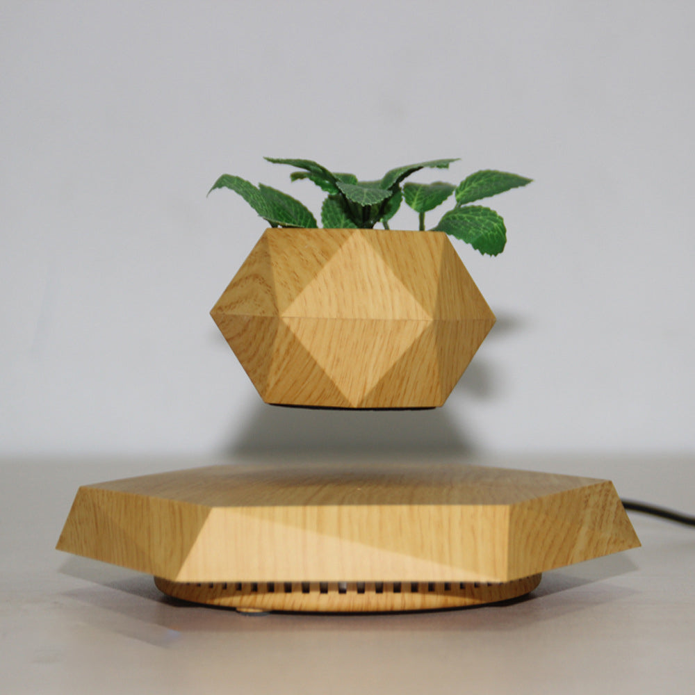 Leviora Floating Bloom Display Pod