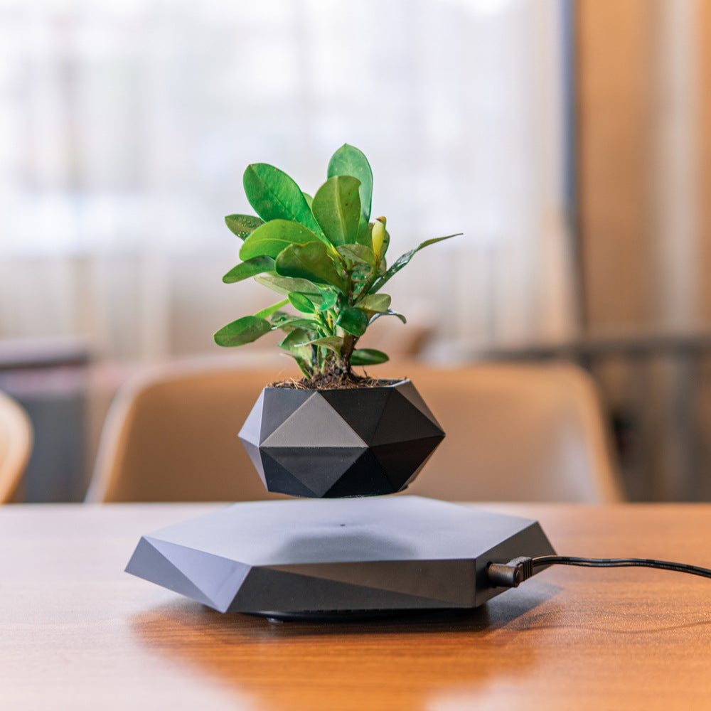 Leviora Floating Bloom Display Pod