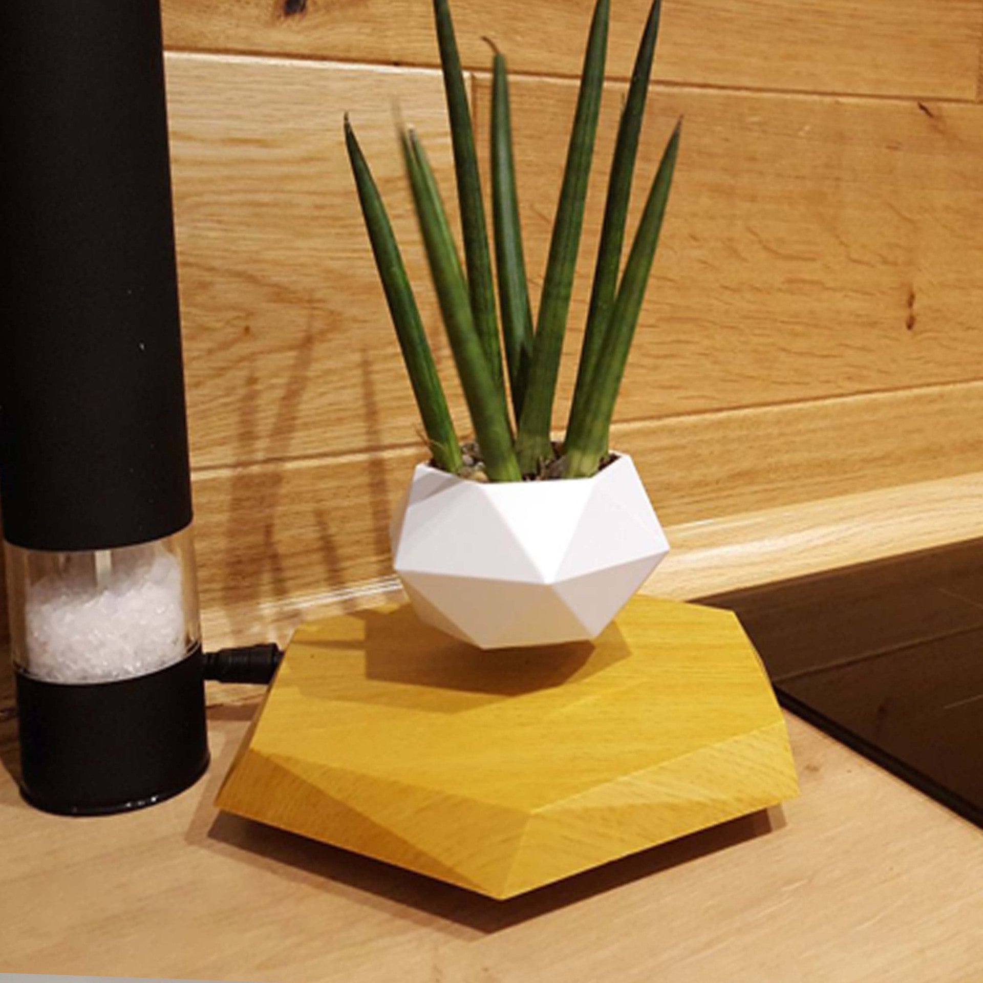 Leviora Floating Bloom Display Pod