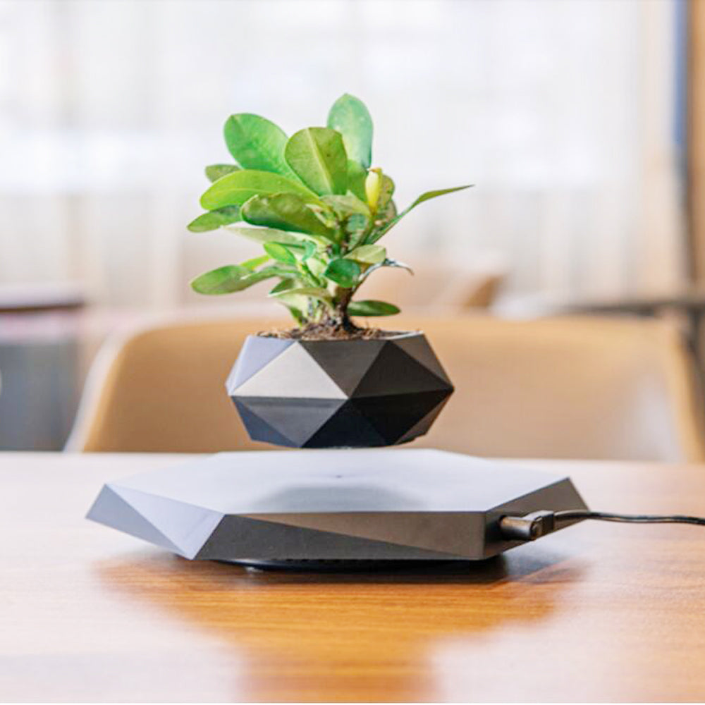 Leviora Floating Bloom Display Pod