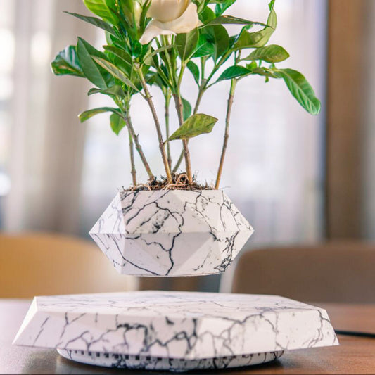 Leviora Floating Bloom Display Pod