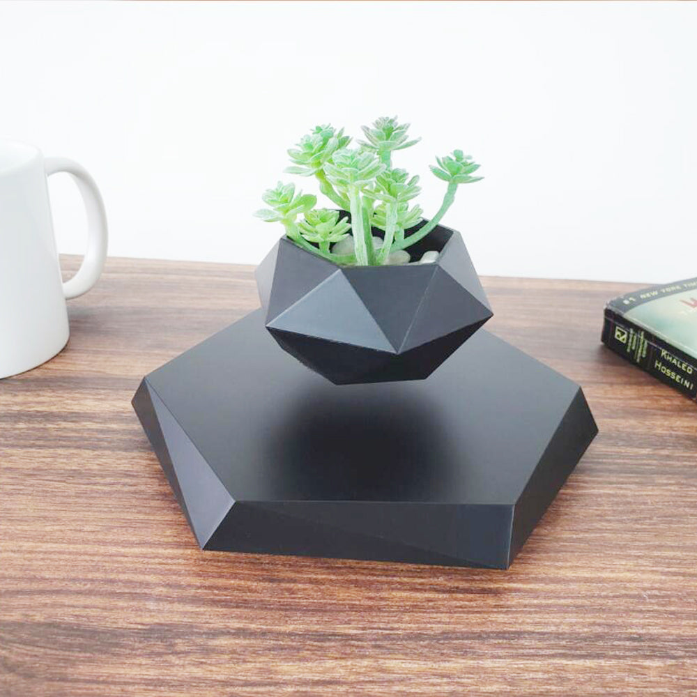 Leviora Floating Bloom Display Pod